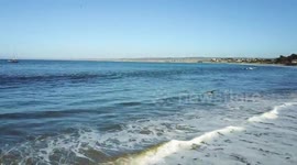 Monterey bay drone fly over