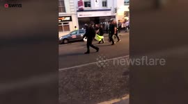 Swan that stormed into a party street is escorted away by police