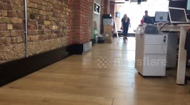 Sliding into the weekend like...