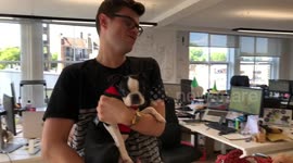 Loyal employee gives Frankie a tour of the office
