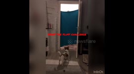 What the fluff challenge