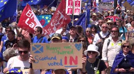 Anti-Brexit