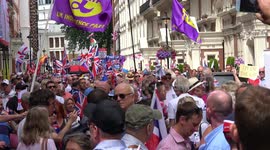 UKIP leader among pro-Brexit protesters marching on Westminster