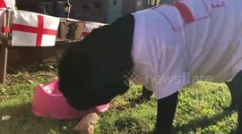 Clairvoyant dog picks winner of England vs Panama