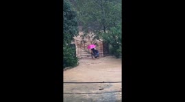 Moment men desperately try to stop floodwater from entering village