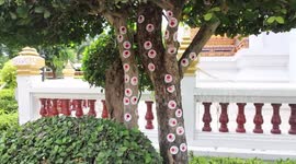 Chinese tourists blamed for covering 300-year-old temple in thousands of stickers