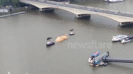 Giant hippo sculpture towed down the River Thames