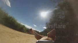 Ride a beagle on a scent hunt