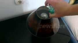 5 Simple Hacks You Need To Know