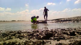 Sheep Rescued From Quicksand