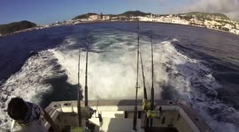 Fighting Blue Marlin 1075 lbs Grander! Amazing jumps!