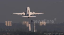 Plane hits a flock of pigeons