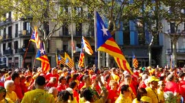 Demonstrators at the National Day of Catalonia 2014