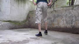 Push ups in the thumbs, with high raised legs (1.20m)