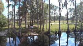 Trees reflecting off water