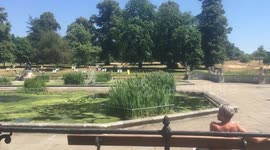 Summer in London
