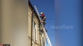 Firefighters rescue pet iguana after it got trapped on a roof SUNBATHING