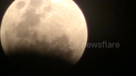observation of the lunar eclipse