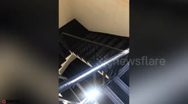 Young professionals in a Victorian building are living in fear because their flats are being besieged - by PIGEONS
