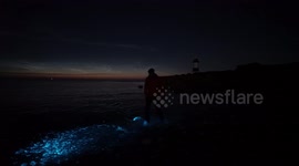 Rare and beautiful bioluminescence on a beach in north Wales