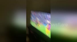 Mexico fan goes nuts celebrating South Korea World Cup win