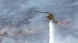 Helicopter drops water on fire outside Los Angeles