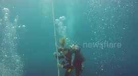 Underwater world