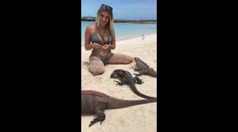 Feeding little dinosaurs