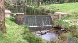 Falls