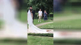 Wedding crasher cat hitches ride on bride's dress
