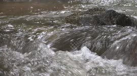 Fast flowing water in a stream.