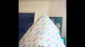 My daughter trying to cool down during heatwave in Cardiff
