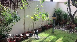 Raining In Sunshine Singapore Summer