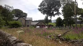 Winter Hill moorland fire burns close to property