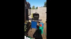 Crazy barbecue-licking dog