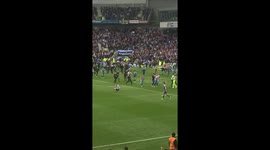 Brighton and Hove Albion promoted to the Premier League 2017