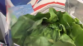Woman finds living frog in her supermarket lettuce