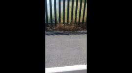 Merseyside heat fire