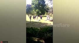 A shameless sunbather photobombs happy couple's wedding pictures