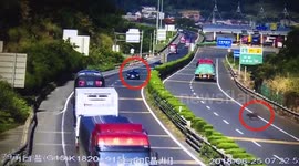 Wild boar runs across the street, suffers tragic roadkill as incoming car fails to stop