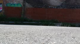 Beautiful drone footage of Montreal mural