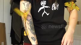 Flappy little friends