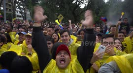 Colombia fans in Bogota reach for the sky after equaliser