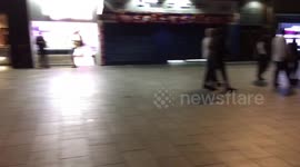 England Fans Celebrate