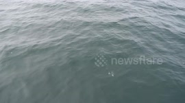 A fishy surprise during a fishing trip in Cape Cod