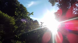 Hot Day in July 2018