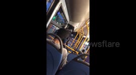 Fan lets out dramatic scream on bus when England scores winning goal
