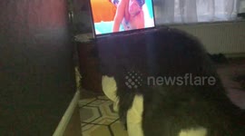 When love island is on