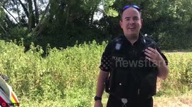 West Country cops have Hot Fuzz moment and release swan from squad car