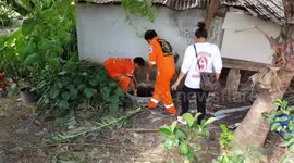 Abandoned dog rescued after falling into septic tank